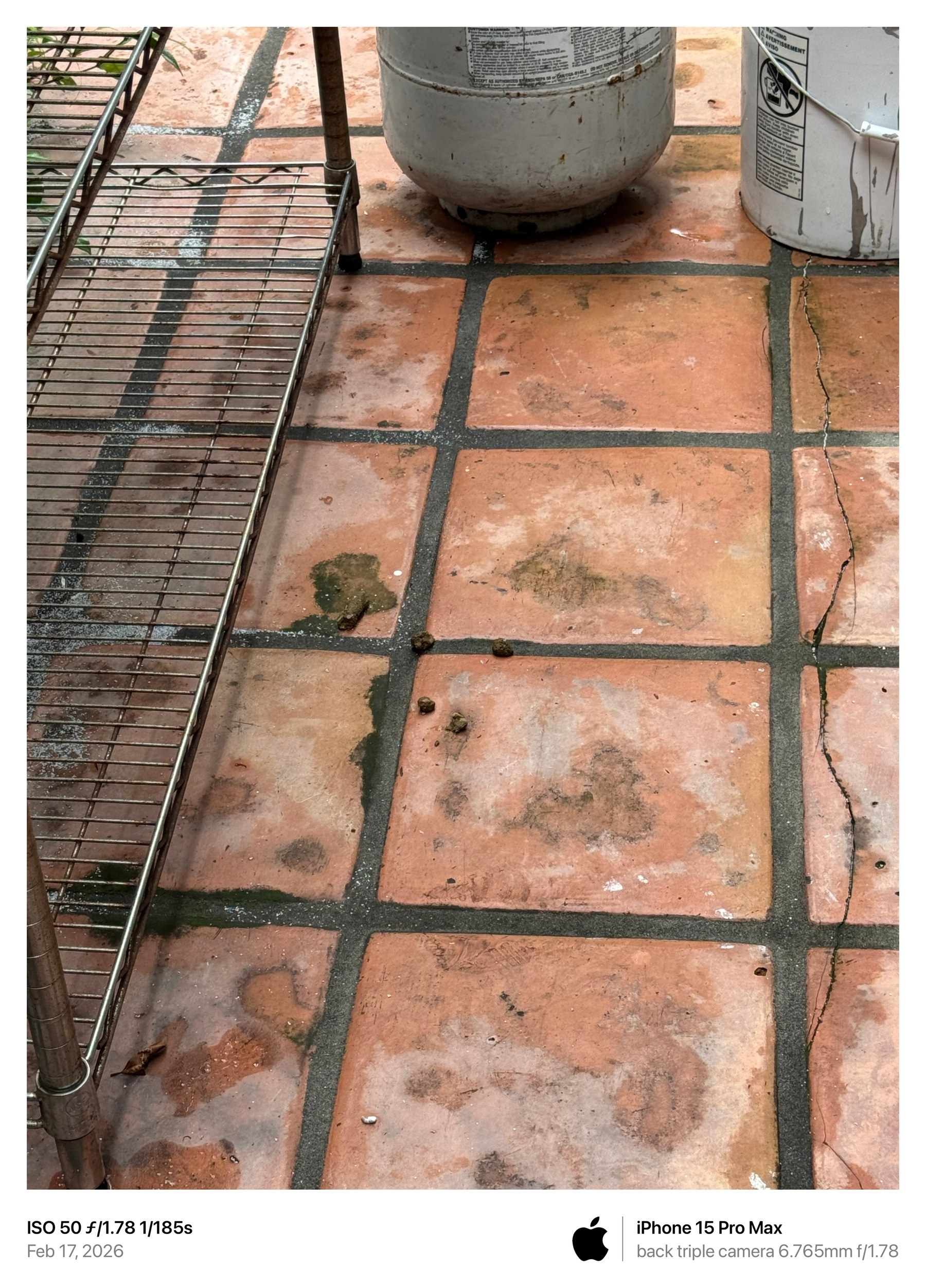 February 17, 2026 photograph showing animal waste on tiled passage beside a propane cylinder and a large labeled bucket or container