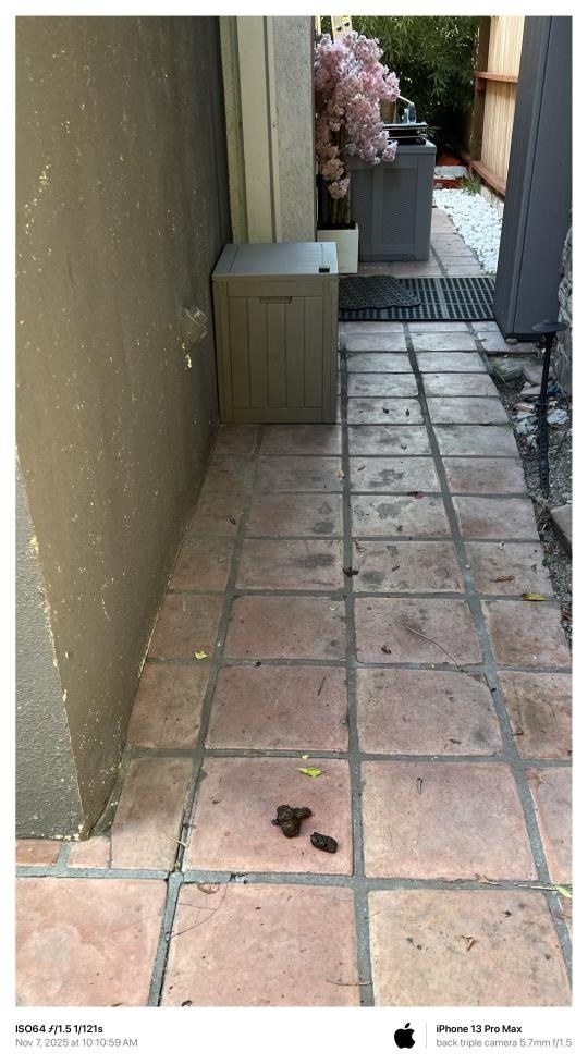 November 7, 2025 dog waste still present at the front door.